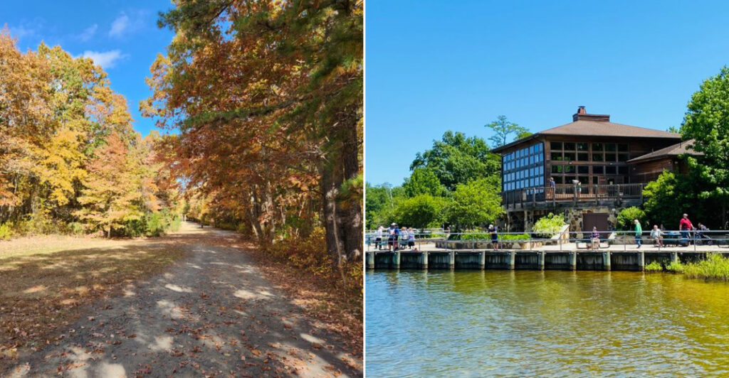 The Five-Mile Waterside Walk That Feels Worlds Away From New Jersey’s Noise