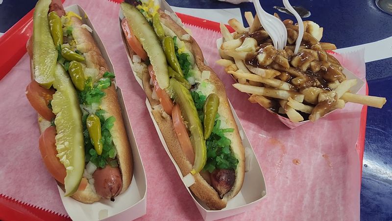 The Chicago Dog Experience