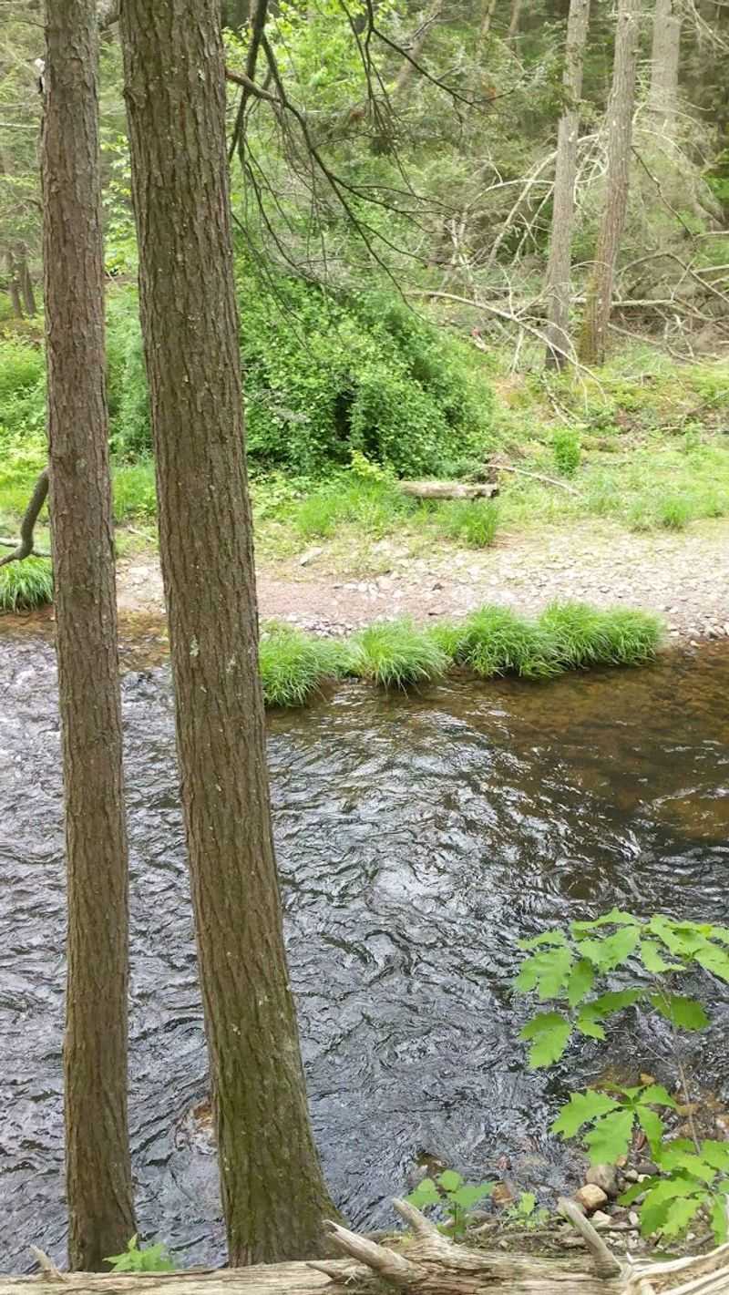 Fresh Spring Water on the Trail