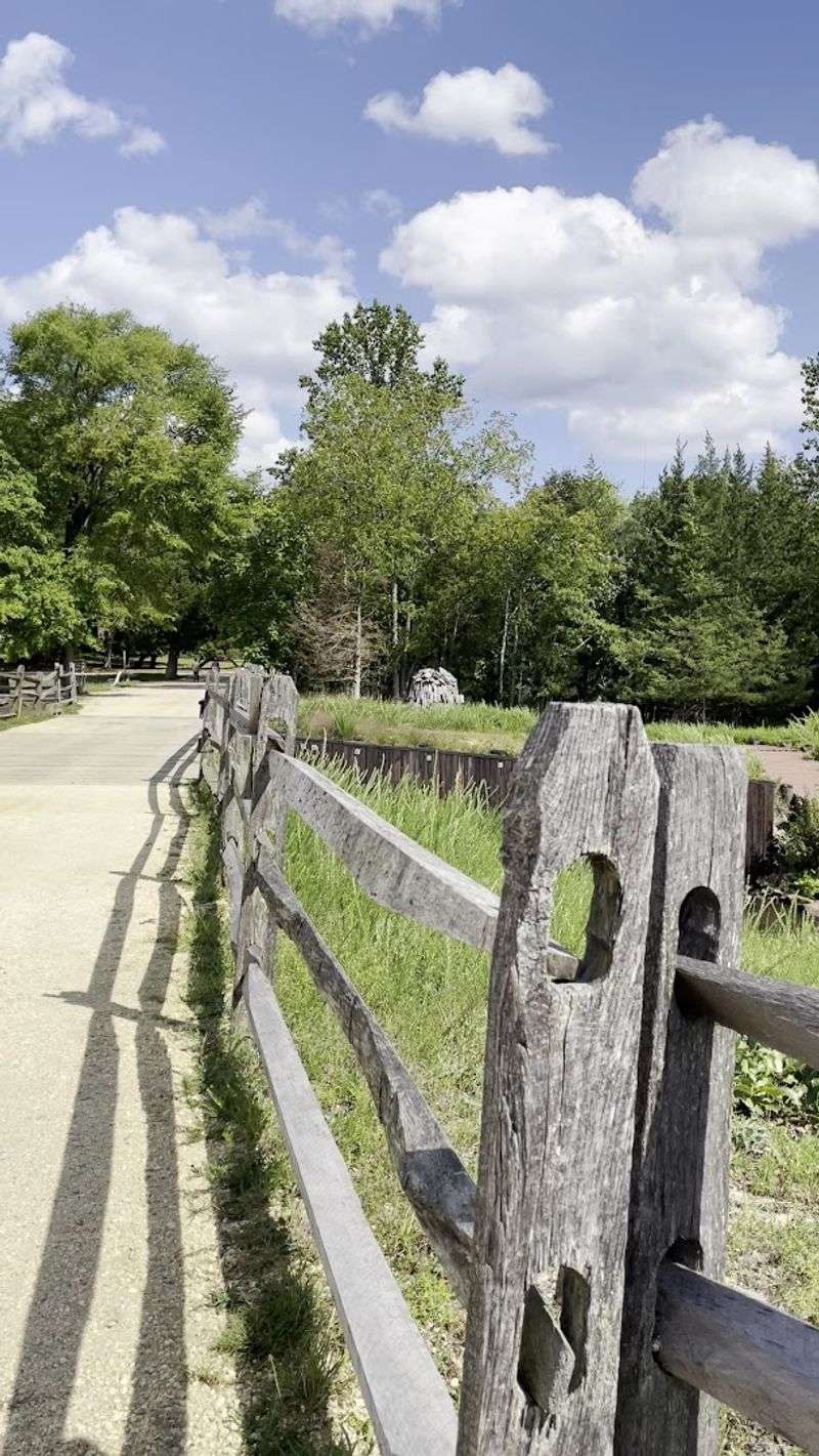 Hiking Trails Through the Pine Barrens