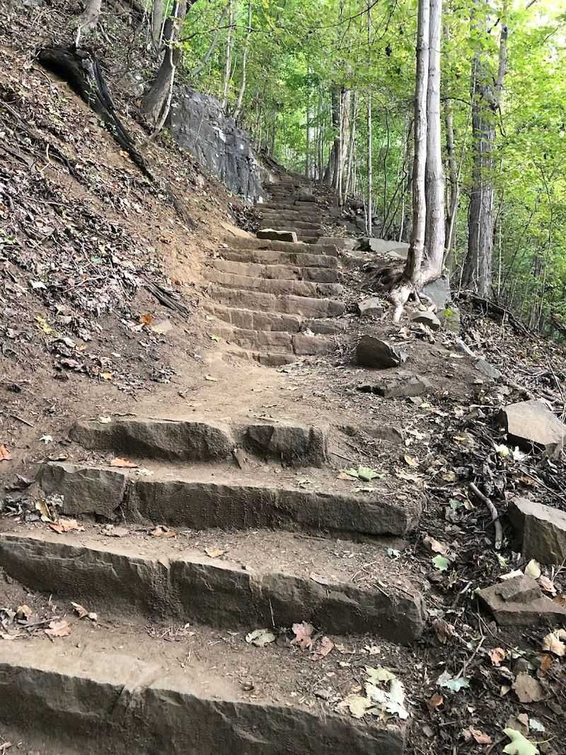 Elevation Gain and the Final Climb Back to the Top