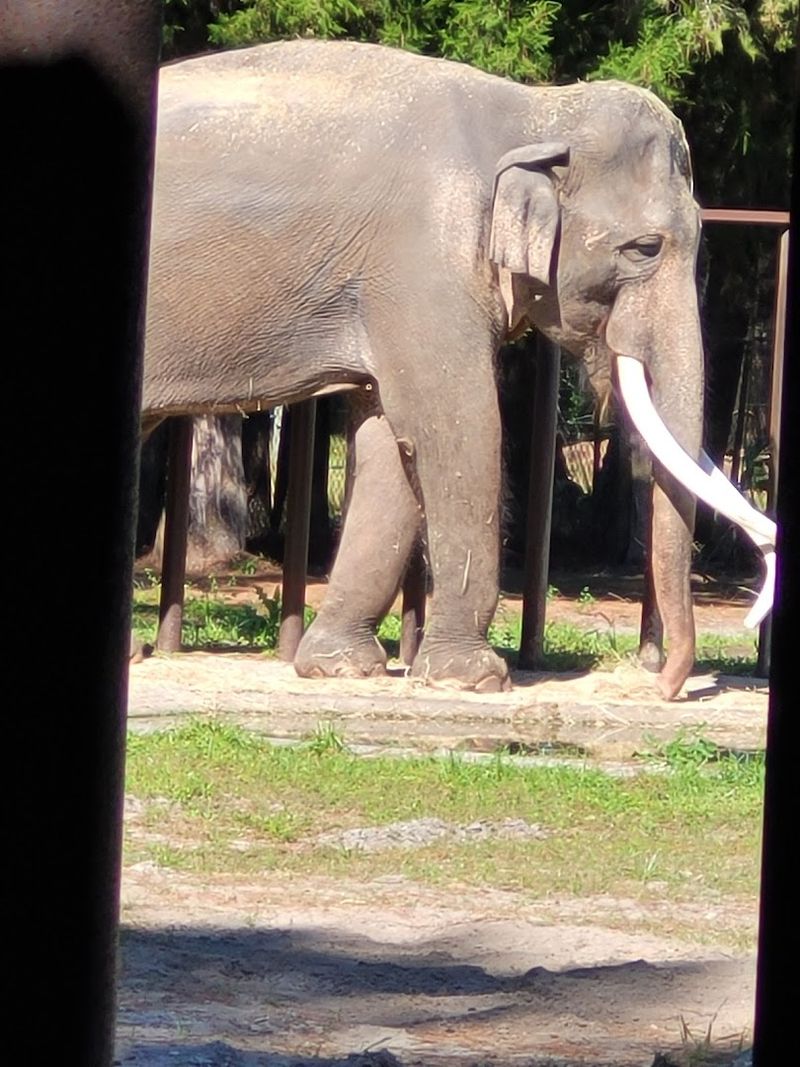 What Makes This Place Worth the Drive