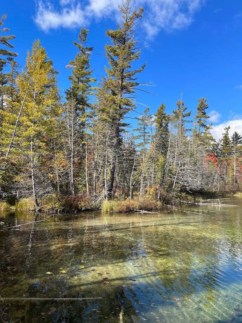 Best Times to Visit: Planning a Trip That Matches the Season