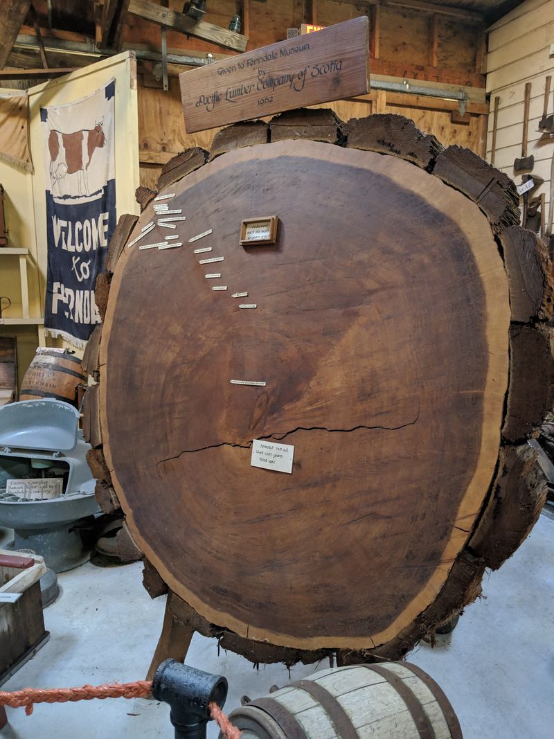 The Ferndale Museum's Treasure Trove