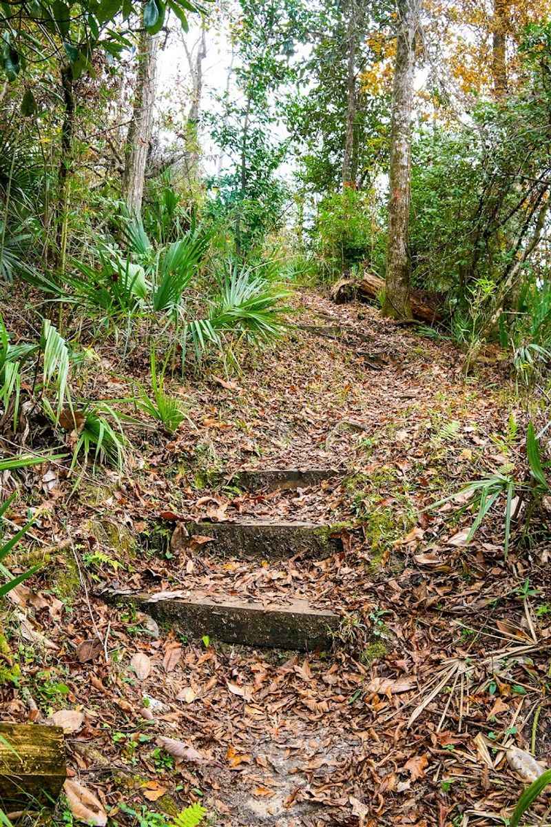 Hiking Trails That Actually Challenge You