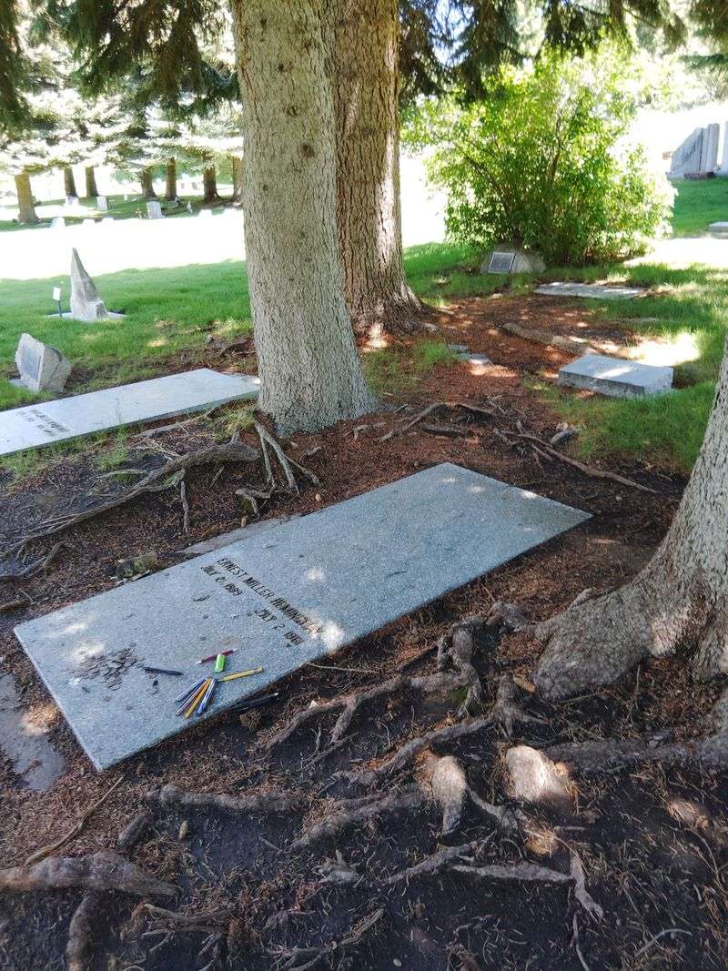 Ernest Hemingway's Grave (Ketchum Cemetery)