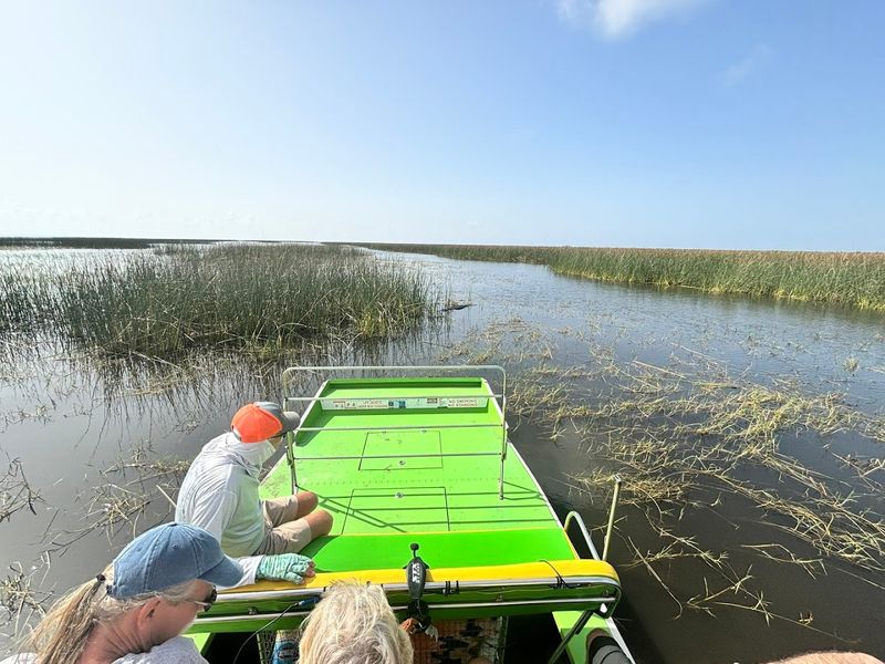 Wildlife That Makes The Lake Feel Truly Wild