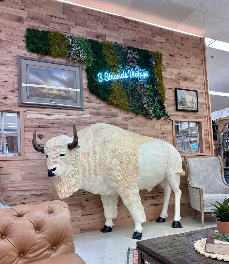 Snacks, Seating, and Thoughtful Amenities