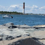 The Hidden Jersey Shore Escape With Wild Foxes and a Picture-Perfect Lighthouse View