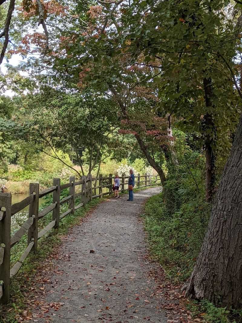 Bridgeton City Park And Outdoor Recreation Options