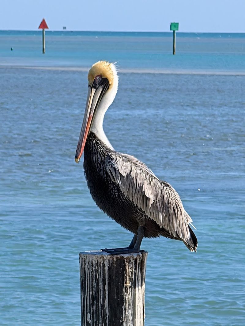 Sunset Views From the Patio