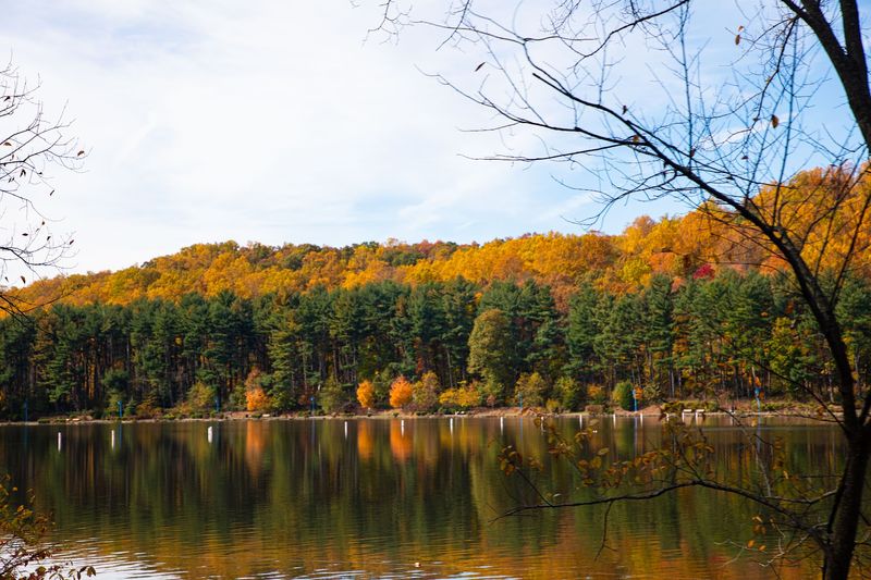 The Walking Loop Around the Zoo Grounds