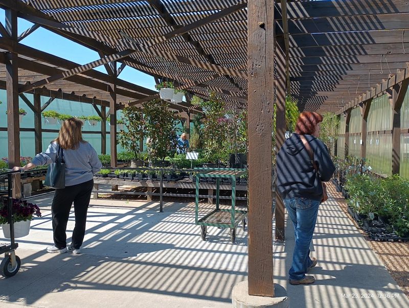 The Staff and Customer Experience