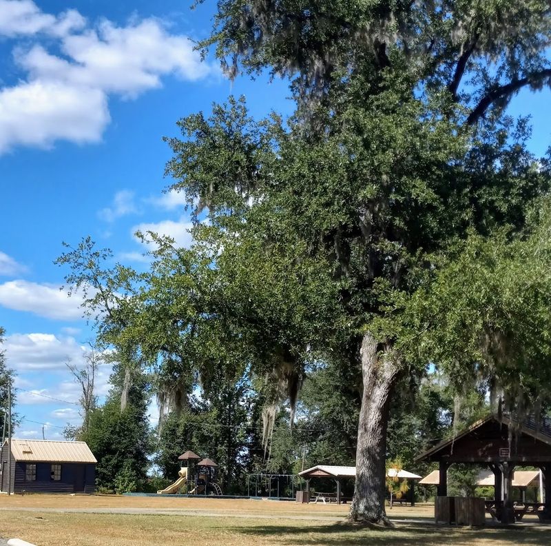 Picnicking, Playgrounds, and Leisurely Park Visits