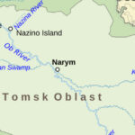 The Island Where Thousands Were Abandoned and No One Was Meant to Survive