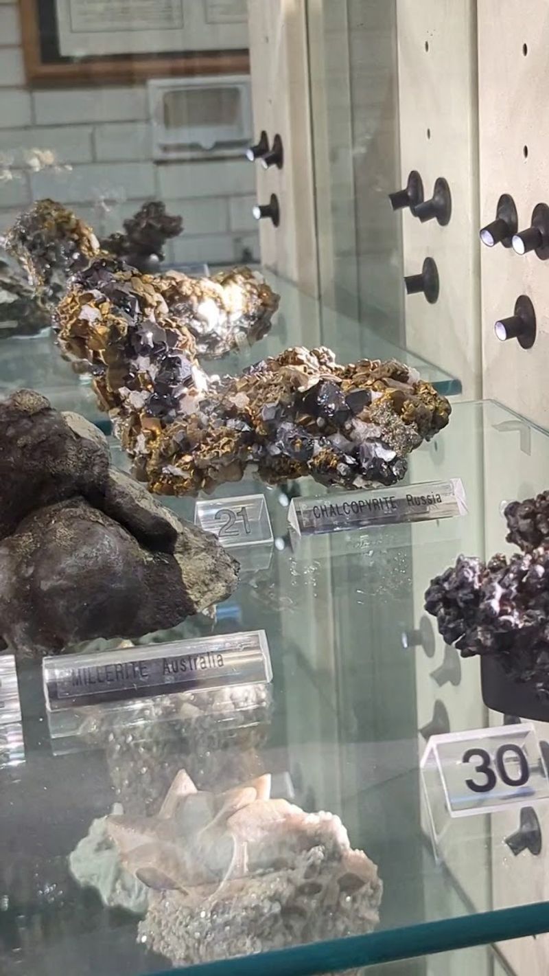 Rock Collecting and Sluicing for Kids