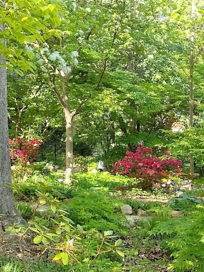 Spring Blooms and the Best Time to Visit