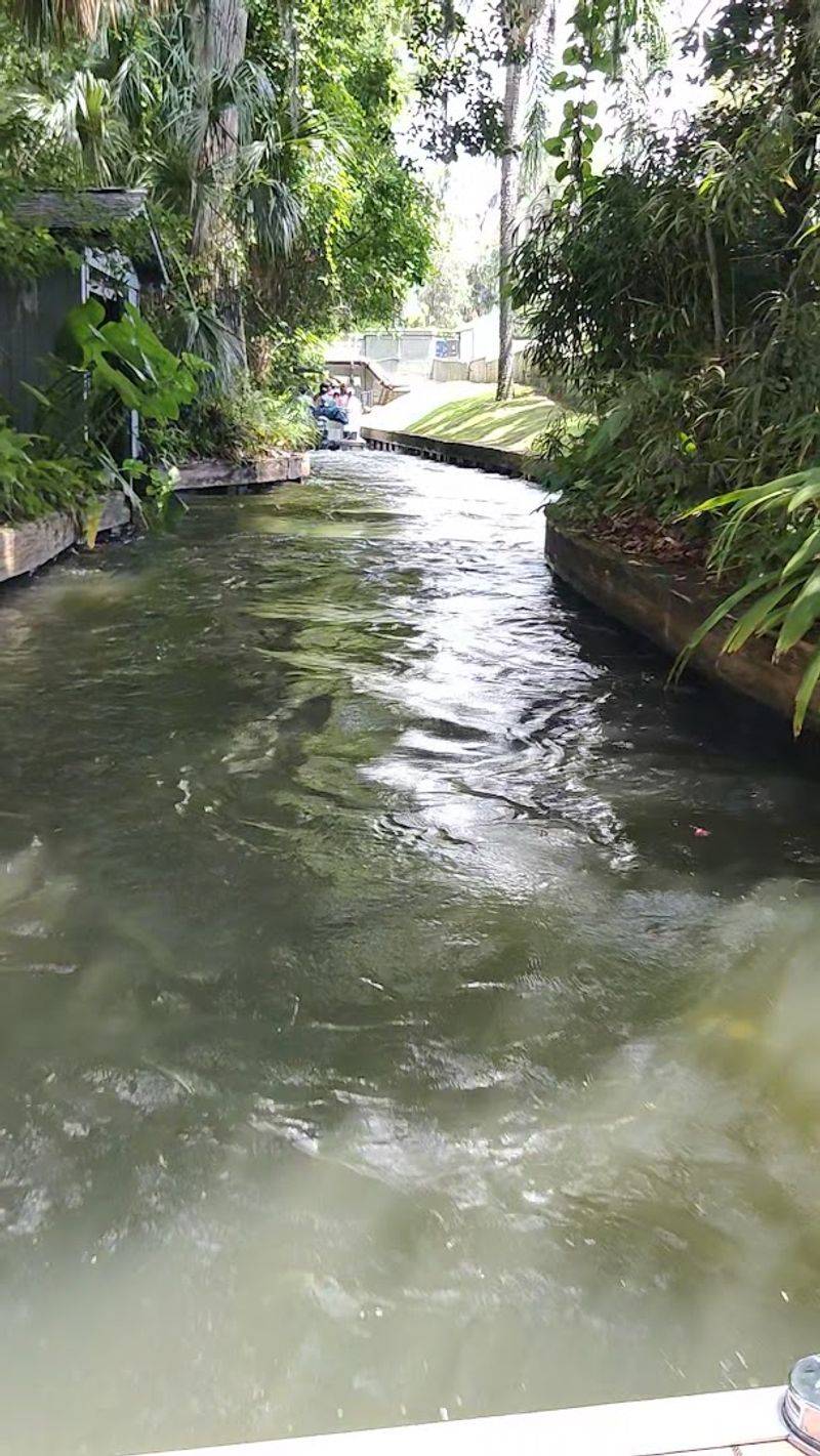 Rollins College and the Waterfront Views
