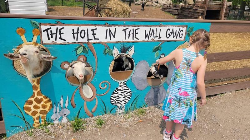 Goat Gauntlet: Cheerful Chaos You Can Wash Off