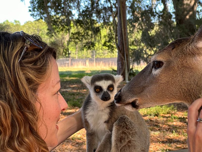 Private VIP Tours That Change How You See Sanctuaries