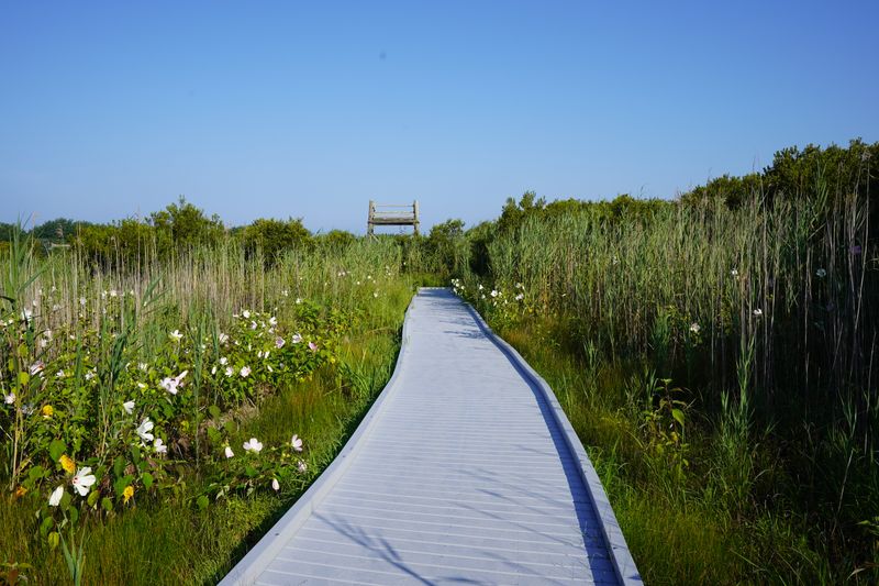 Boardwalk Loops and Easy Trails