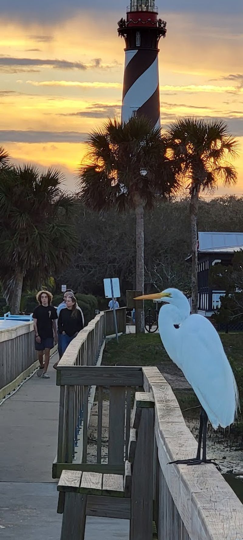 St. Augustine Beach: Sand, Sun, and a Short Drive