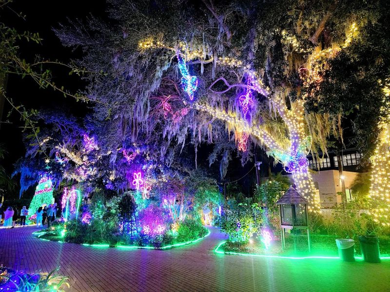 Special Events That Transform The Garden After Hours