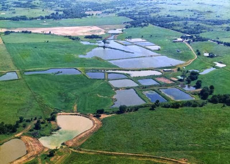 Views of Working Fish Ponds and Wildlife