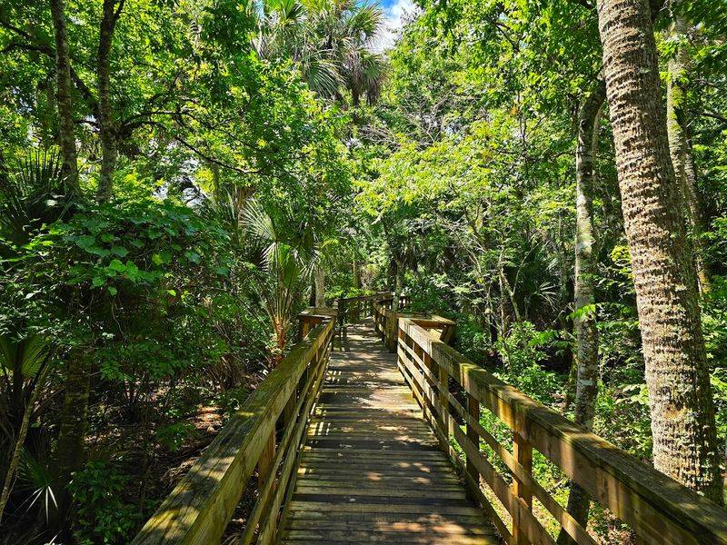The Boardwalk Trail: A Walk Worth Every Step