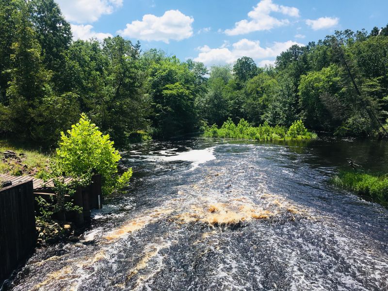 Trails Through the Pine Barrens