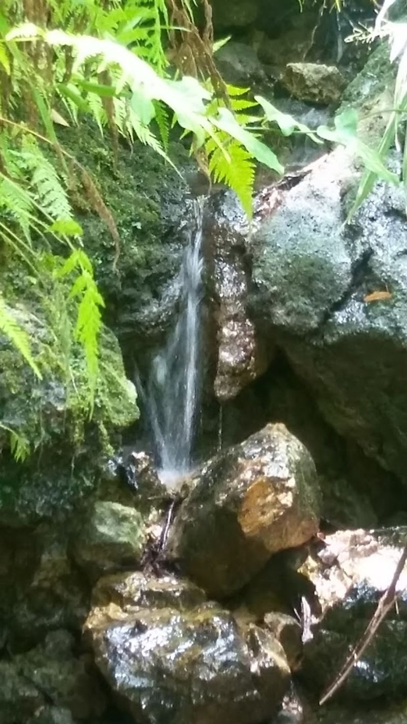 Small Waterfalls That Appear After Rain