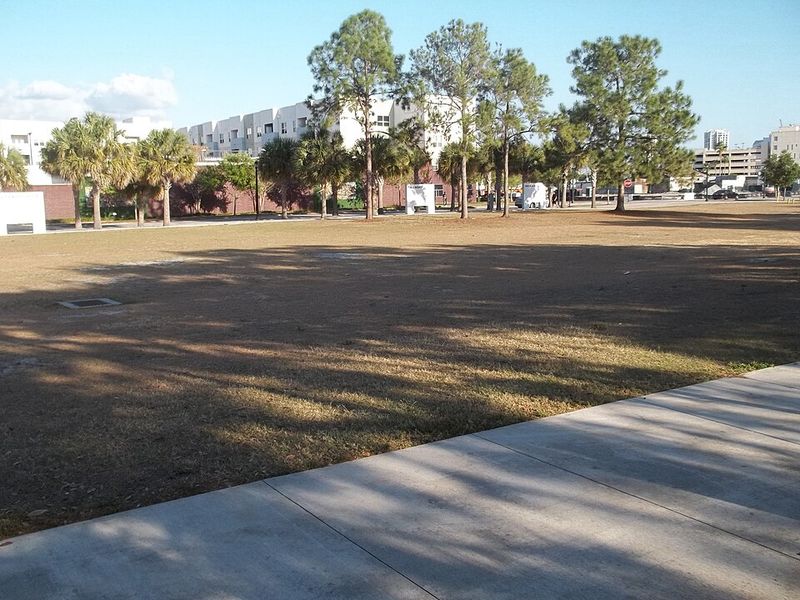 Quiet Corners And Open Views