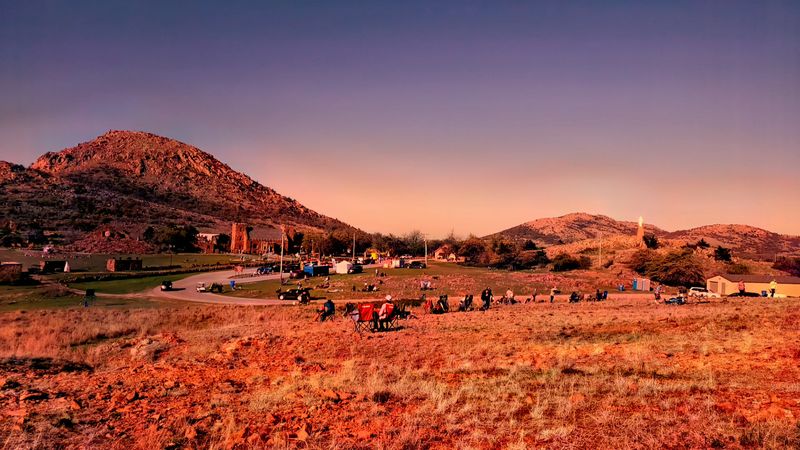 Unexpected Wildlife Encounters