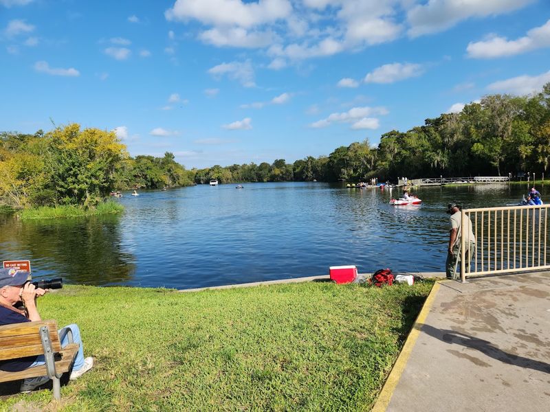 Boat Tours on the River: A Worthwhile Side Adventure