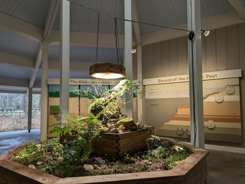 The Educational Ranger Station and Displays