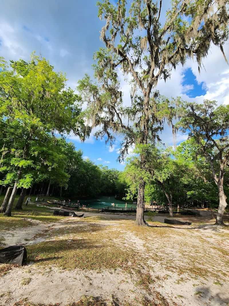 Camping Under the Florida Stars
