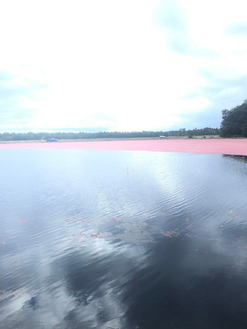 Photography Opportunities That Are Hard to Beat