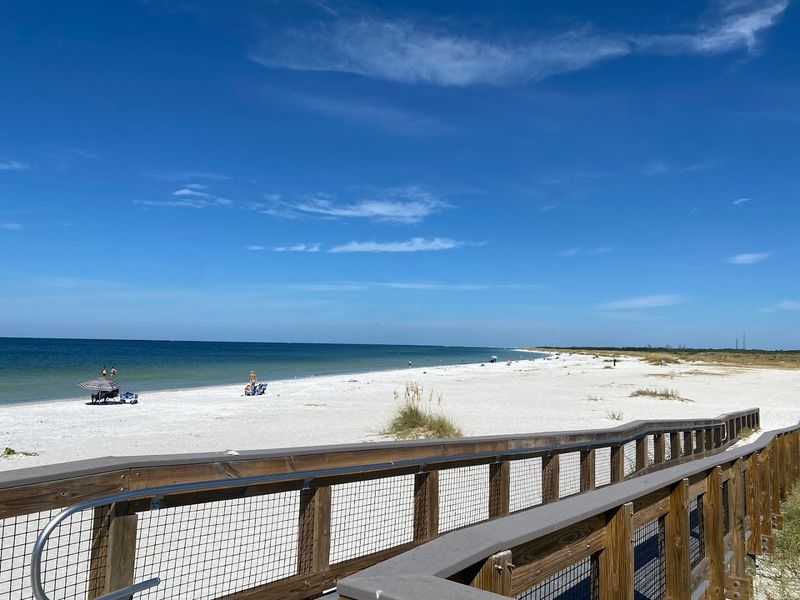 A Dog Beach That Actually Delivers