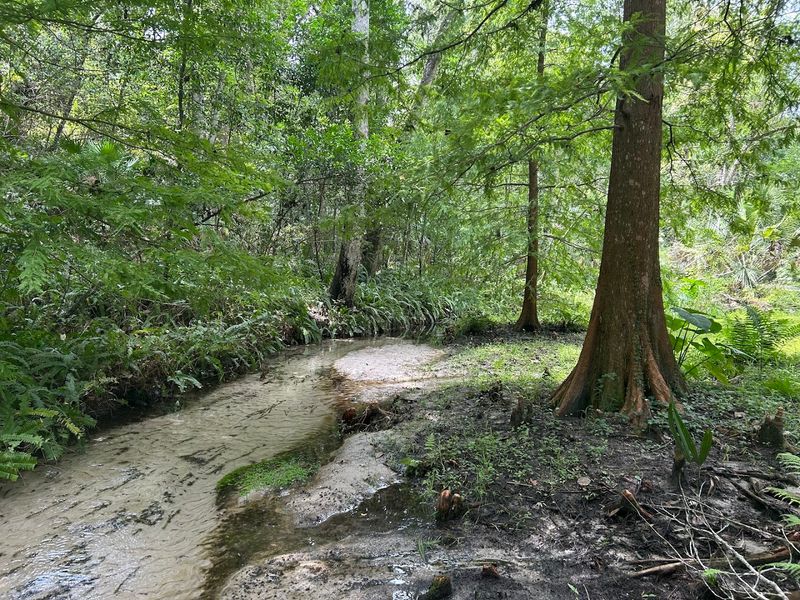 Wildlife and Flora Along the Trails