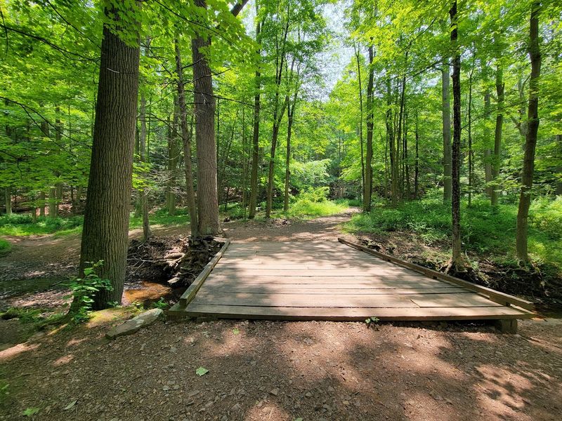 The Trails Beyond the Village Core