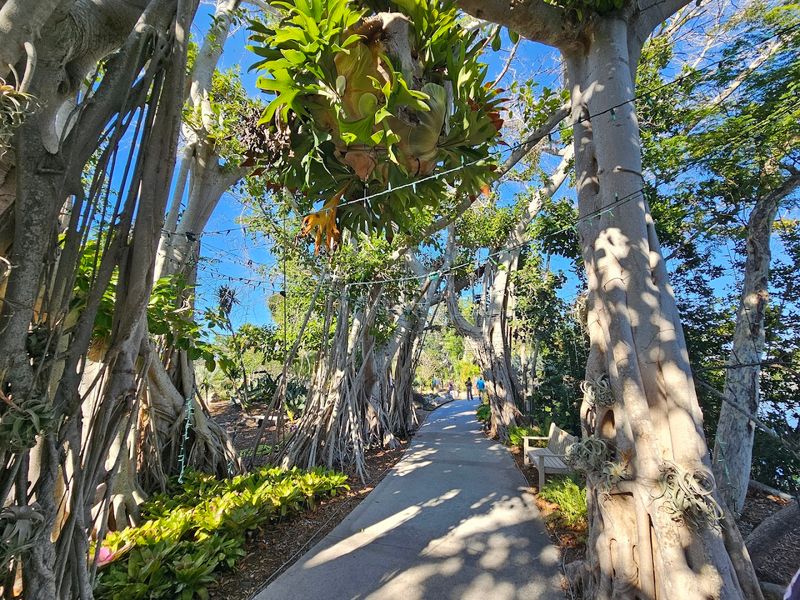 Research And Conservation Work Happening Behind The Scenes