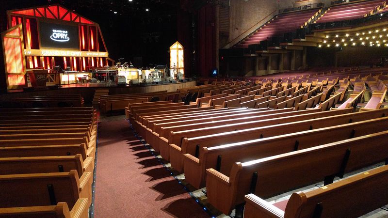 Special Theme Shows and Holiday Performances