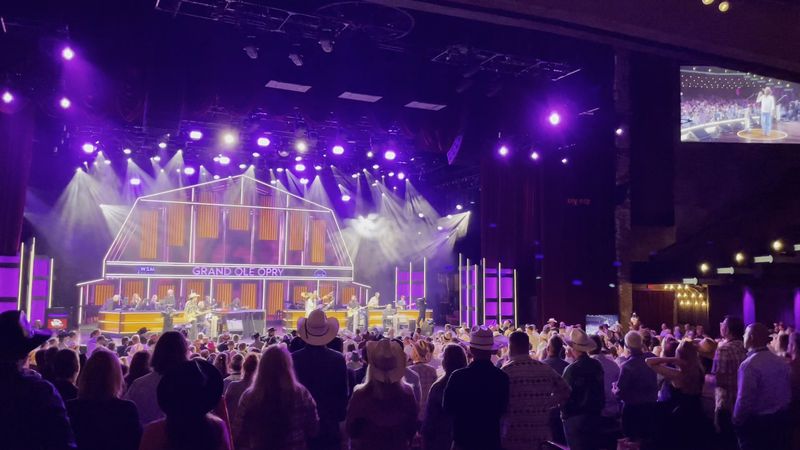 Multiple Shows Weekly Year-Round