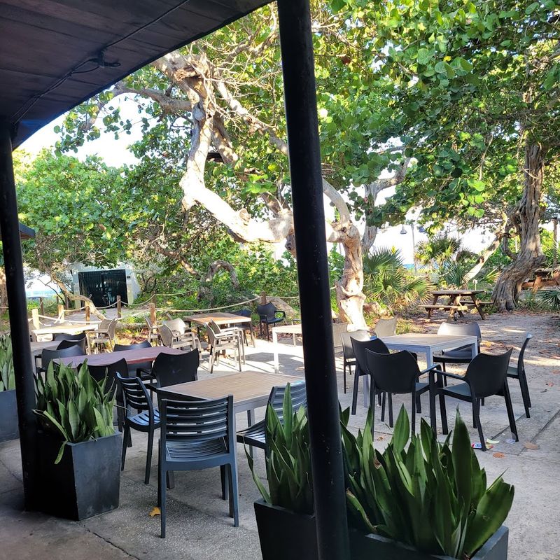 Best Times to Visit for the Full Experience