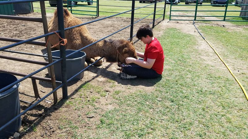 Hosts Who Go Above and Beyond