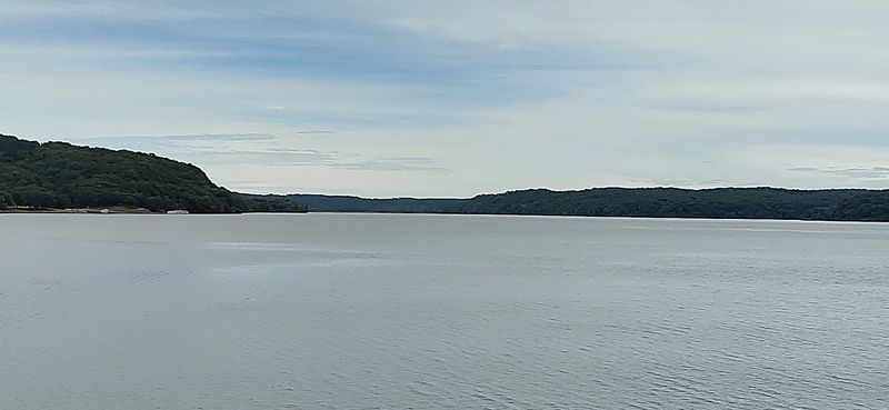 Wildlife and Natural Surroundings