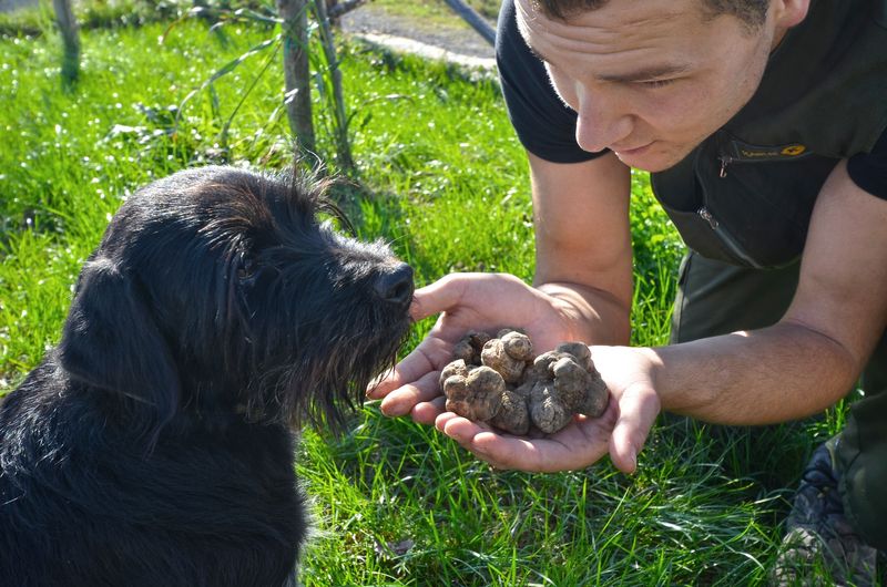 Istria's Truffle Obsession Is Completely Justified
