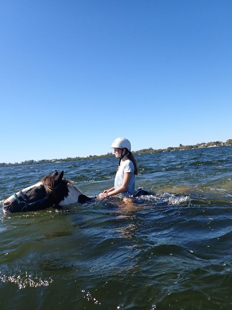 Bringing Treats and Tips: The Thoughtful Visitor's Checklist