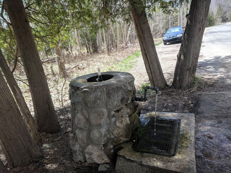 A Spot With Deep Local Roots