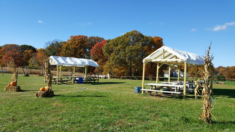 Seasonal Timing: Best Months for Fruit Pies